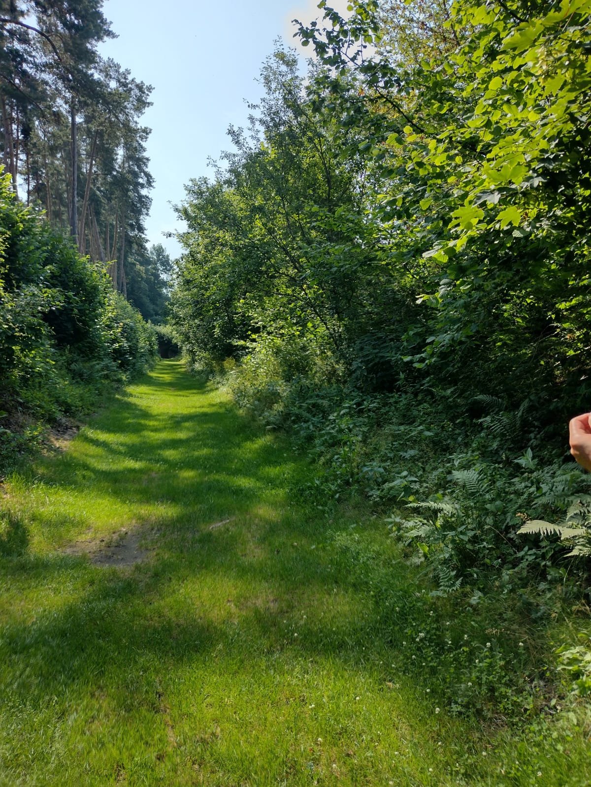 II Rajd motocyklowy "Podlasie-Nadbiebrzanskie"